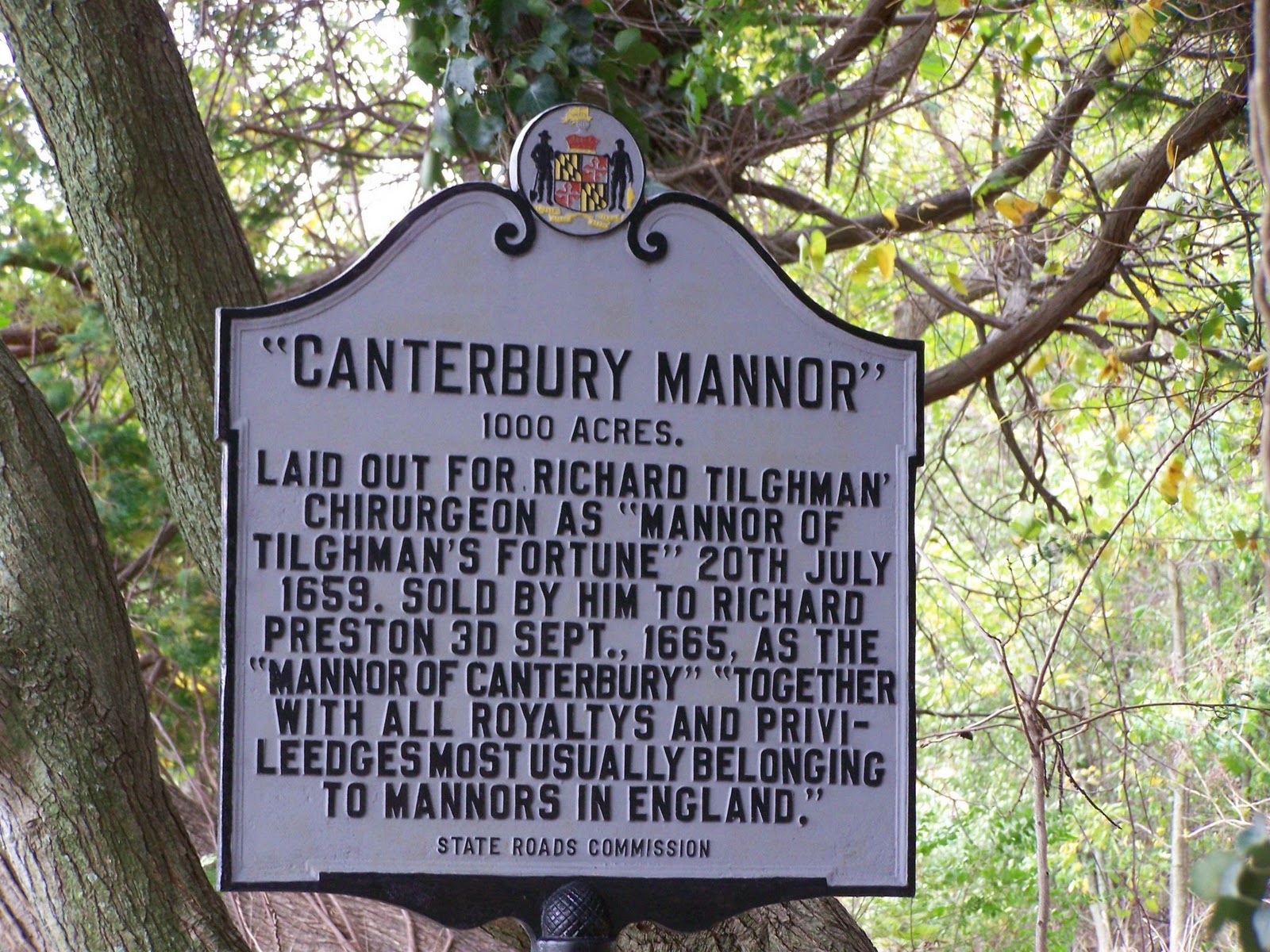 Tea at Trianon Canterbury Manor