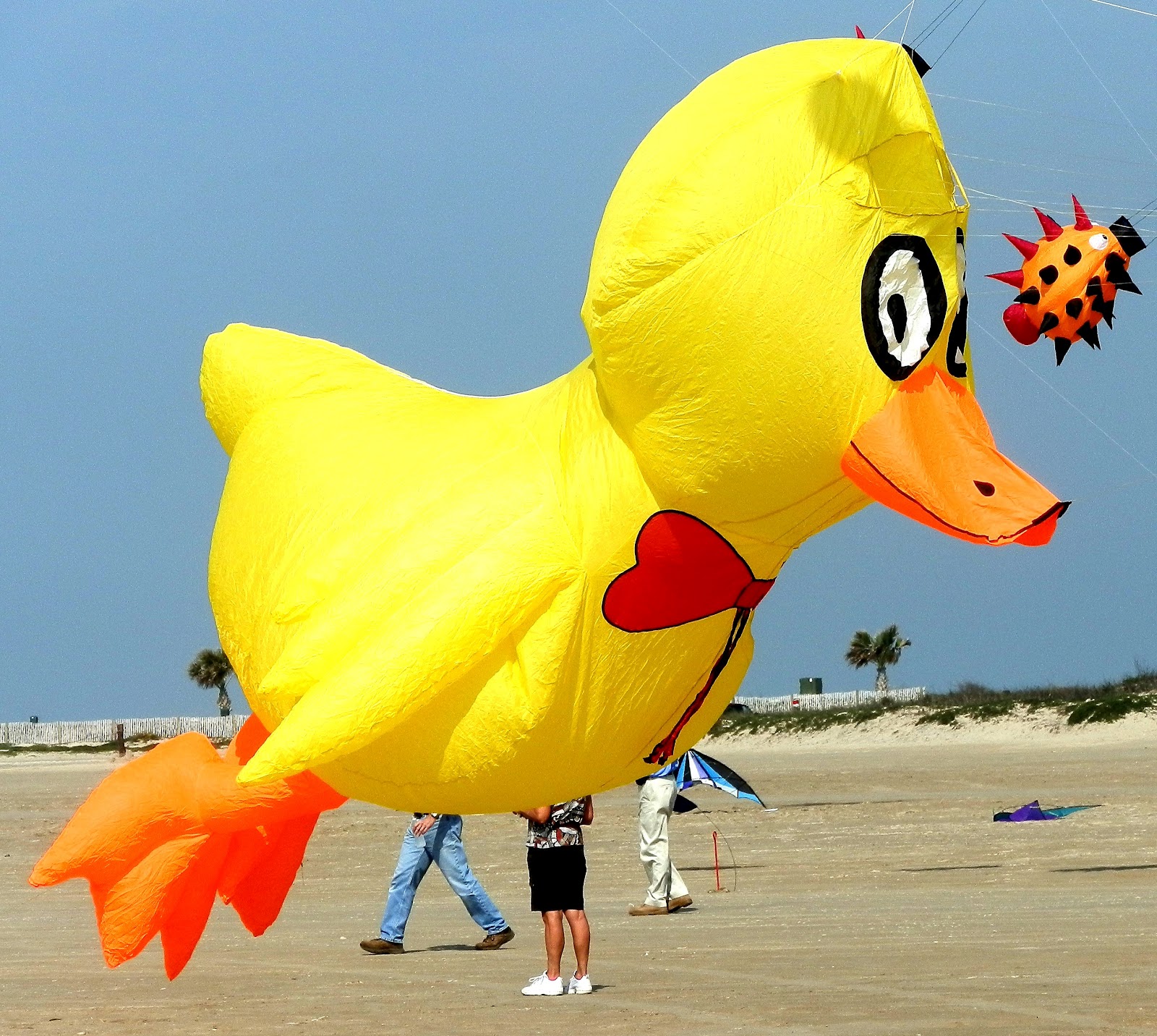 SPIroadrunneradventures SPI KITE FESTIVAL SPECTACULAR (FANTASTIC KITES)