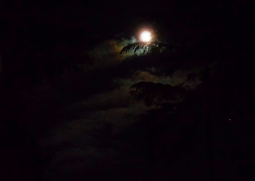 beautiful moonlit night