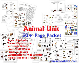 Types of Animals Worksheets