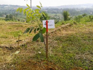 Kavling Gardenia, Sentul Bogor