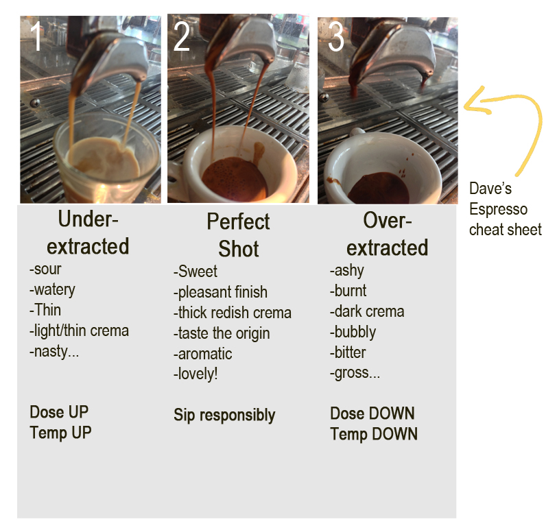 The Brew Espresso exctraction 101