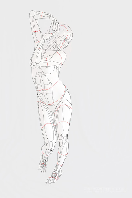 Goodend Graphics: The Understanding of the Human Anatomy Has Been Completed