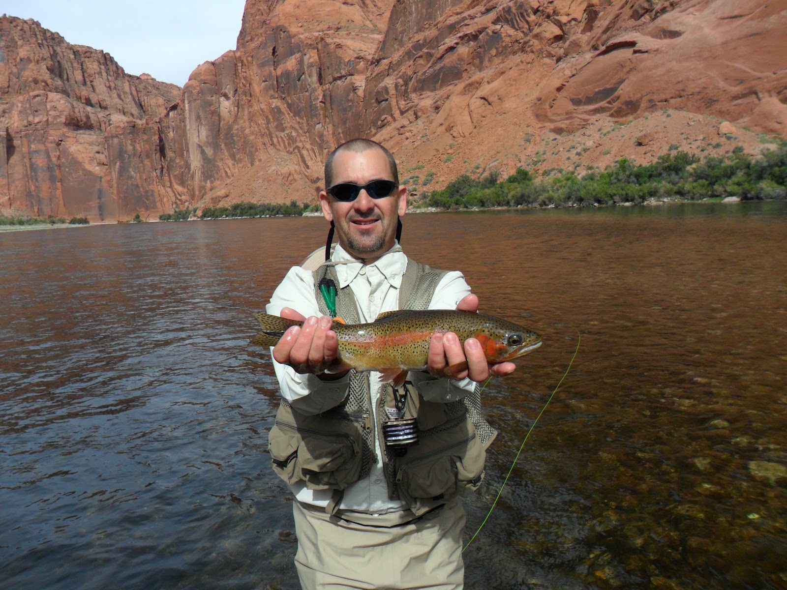 Lees Ferry Fishing Report Lees Ferry AZ May Day