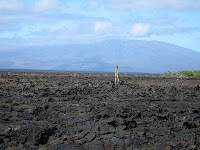 Isabela Island with Sierra Negra Volcano in Background