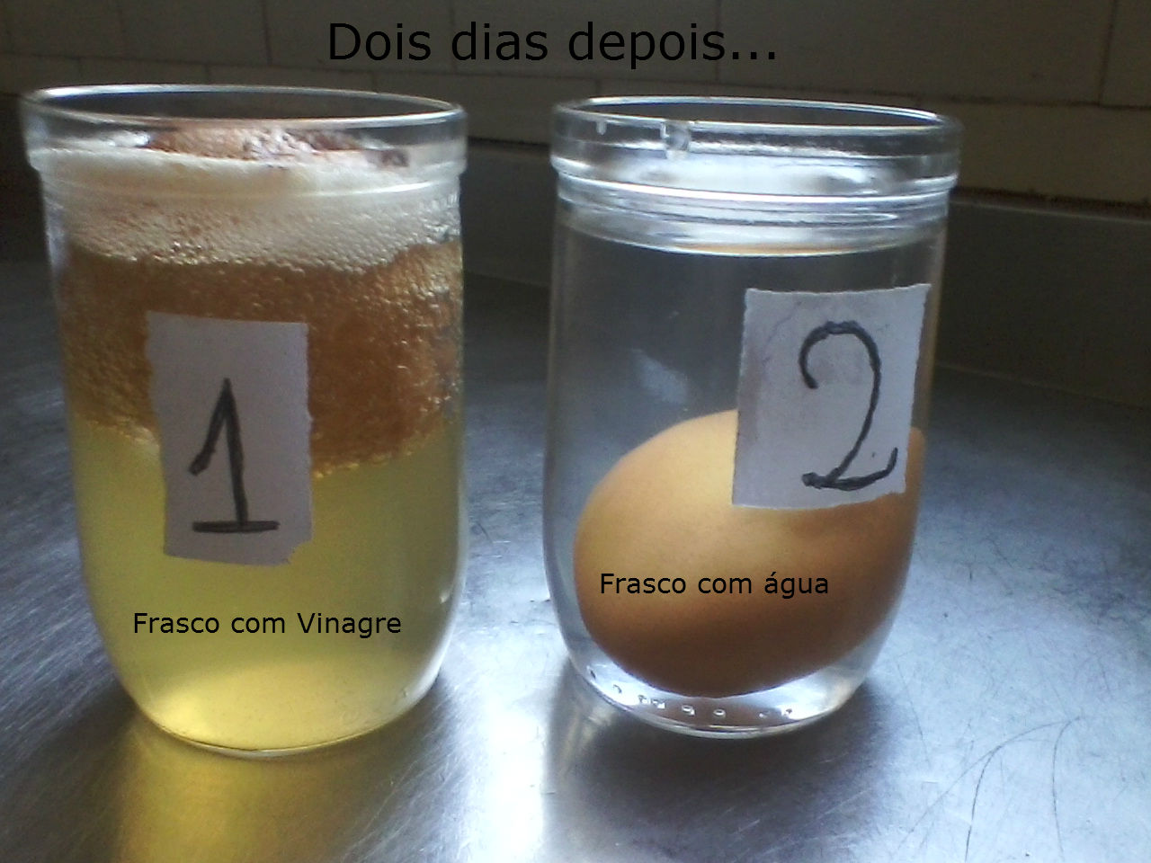 Eco-Amigos: Experimento: Osmose 