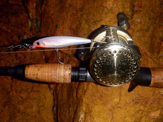 best barra rod and reel