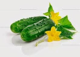 марокканский десерт из огурцов. Смотреть фото марокканский десерт из огурцов. Смотреть картинку марокканский десерт из огурцов. Картинка про марокканский десерт из огурцов. Фото марокканский десерт из огурцов марокканский десерт из огурцов. Смотреть фото марокканский десерт из огурцов. Смотреть картинку марокканский десерт из огурцов. Картинка про марокканский десерт из огурцов. Фото марокканский десерт из огурцов