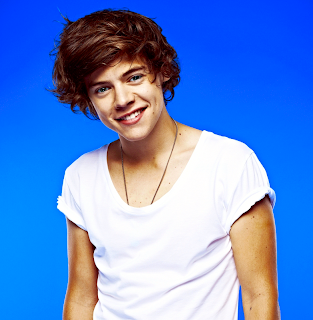 Harry Styles white shirt 2013