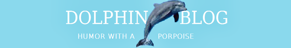 Dolphin Blog