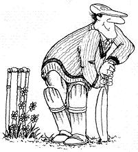 Cartoon Batsman