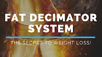 The Fat Decimator System: How to lose weight and keep it off