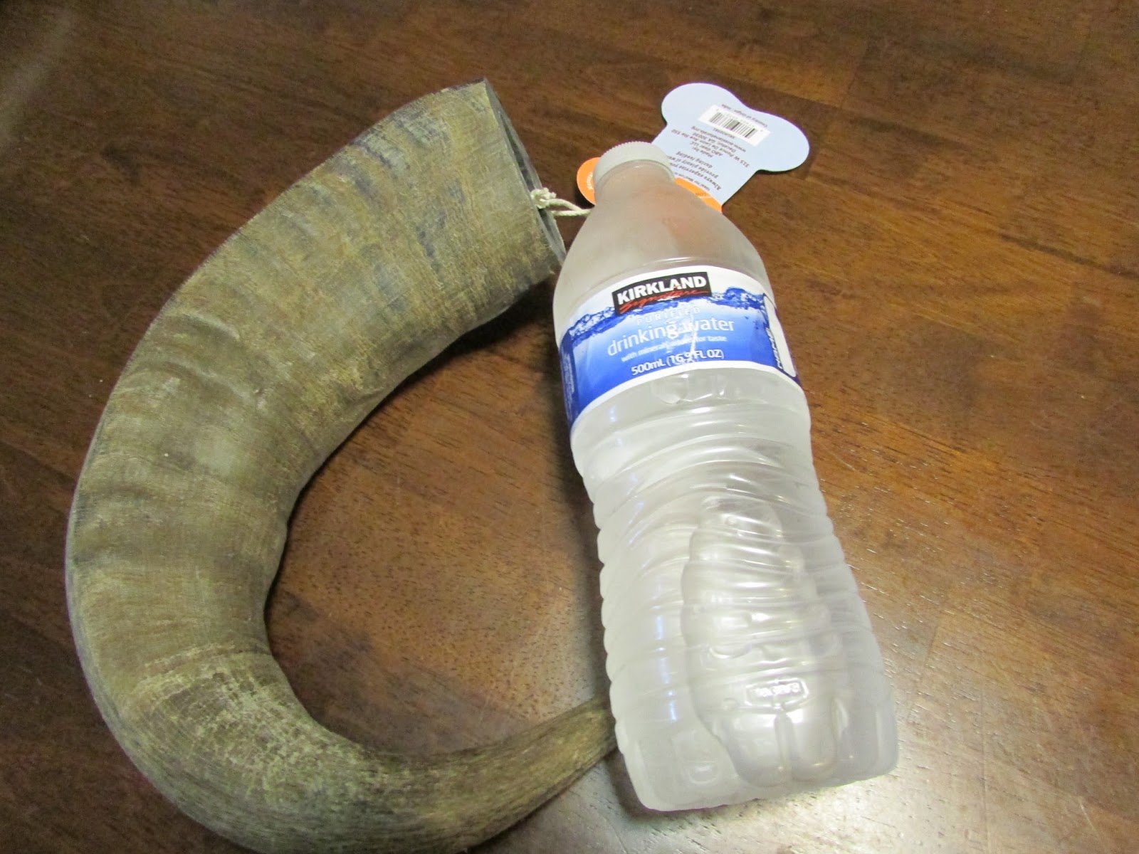 My Rotten Dogs Bully Horn Review