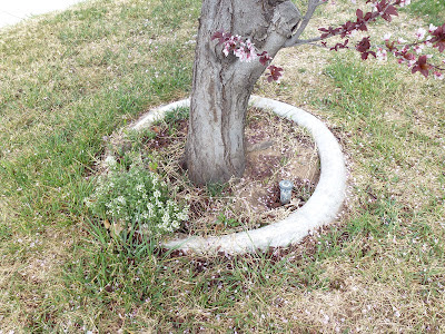 preparing a flower bed