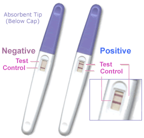 Positive and Negative Pregnancy Test