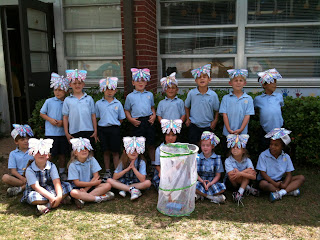 Montgomery Catholic Kindergarten Study Life Cycle and Release Butterflies 1 Montgomery Catholic Kindergarten Study Life Cycle and Release Butterflies 1