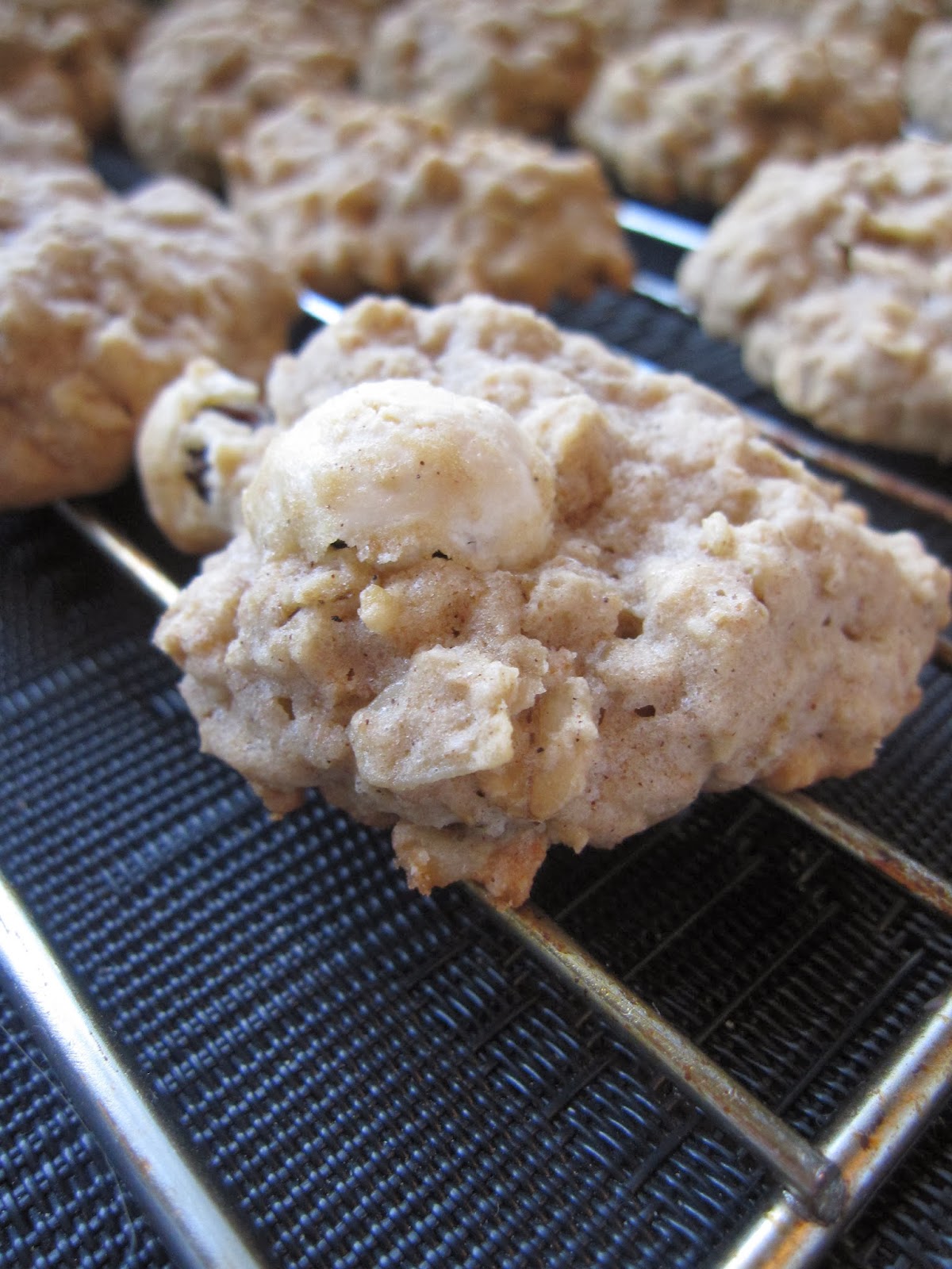 Oatmeal Yogurt Raisin Cookies