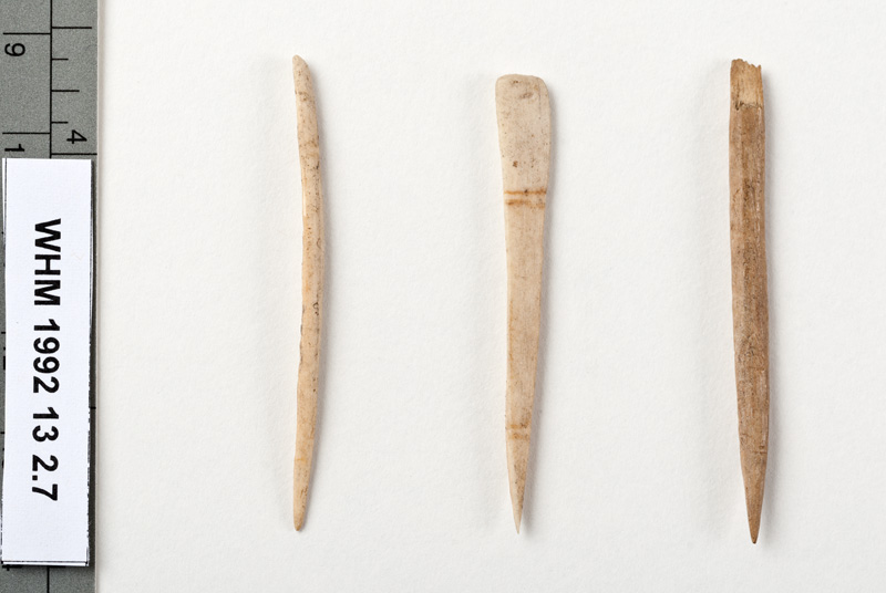 Carmichael Watson Project Blog Objects in Focus Bone Pins and Needles