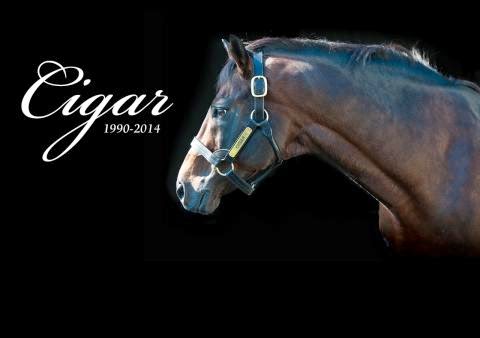 Cigar - America's Horse