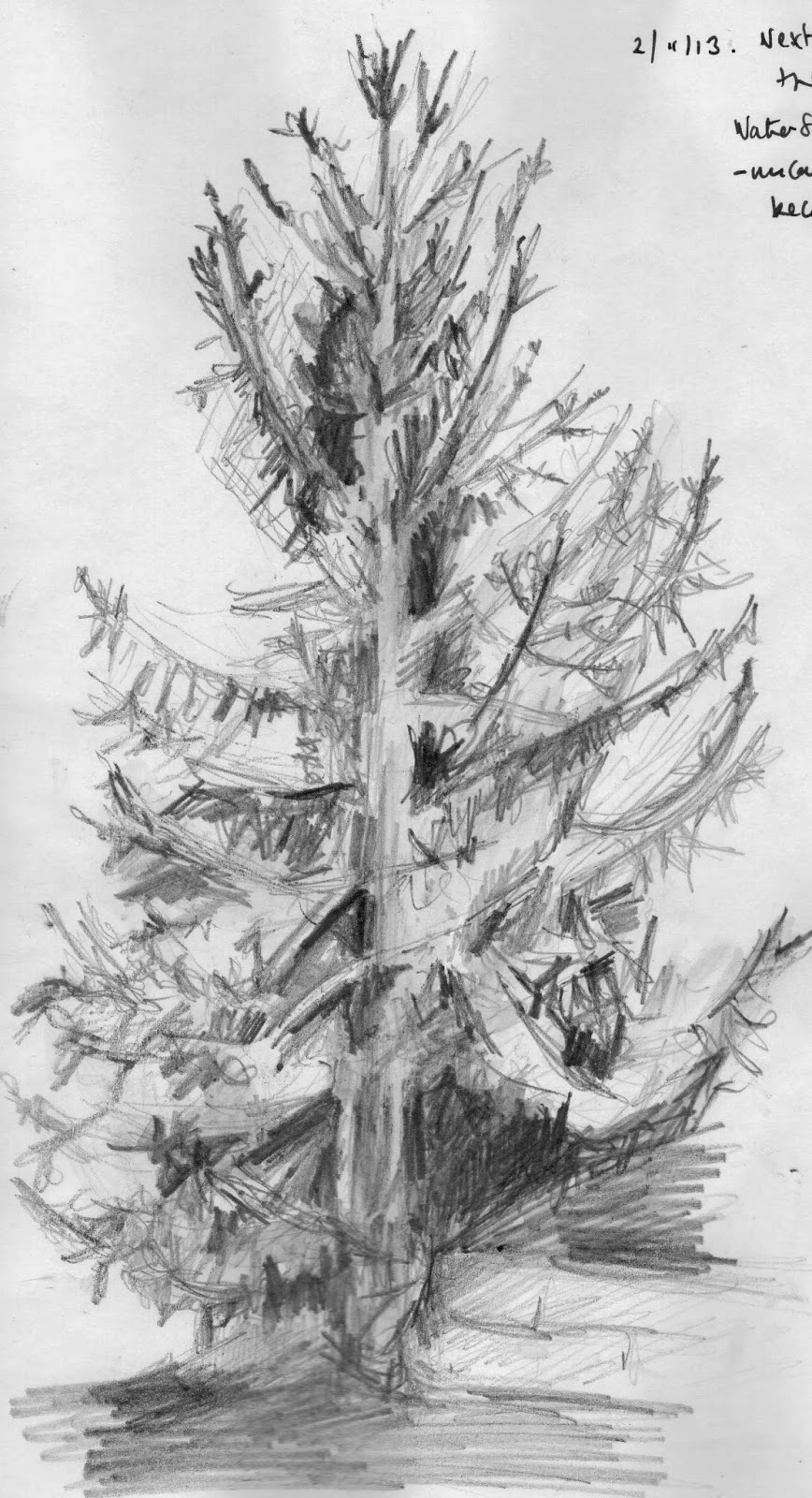 Aylish's OCA Learning Log: Project Drawing Trees: Sketching an Individual  Tree