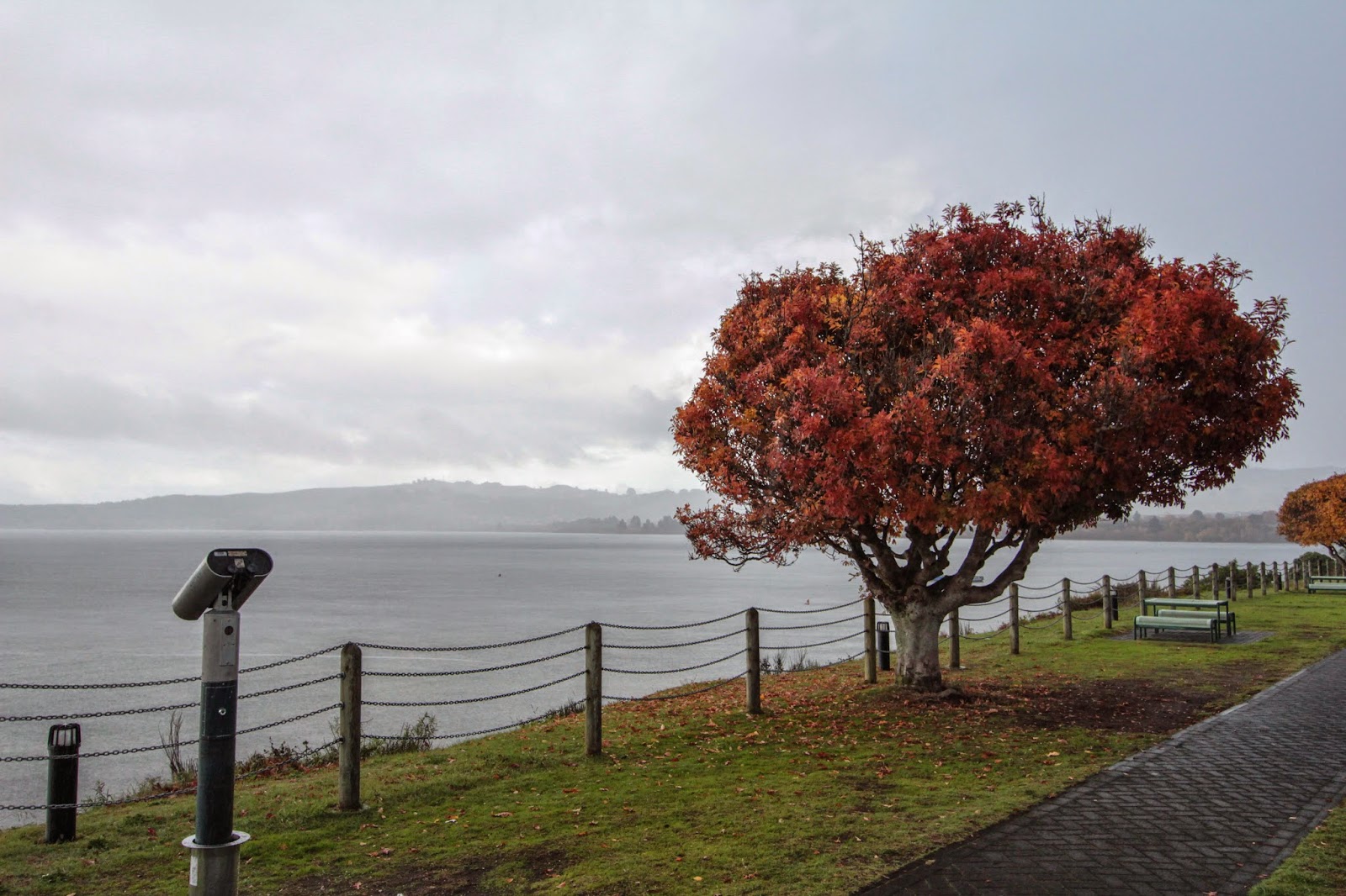 Der Einzige Negativpunkt Bleiben Swiss News