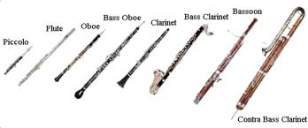 Flute Flute In Brief
