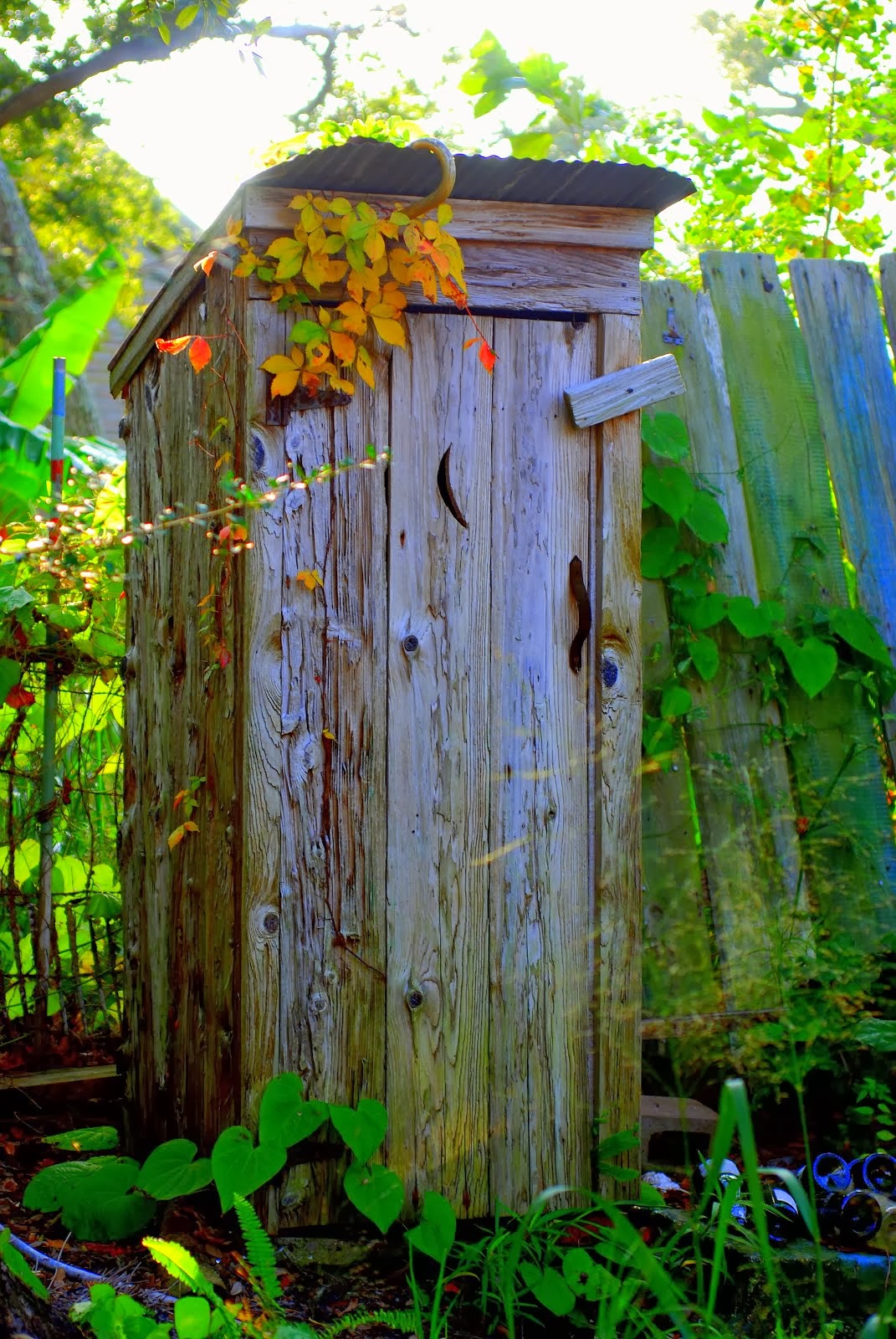 Demolle House Outhouse