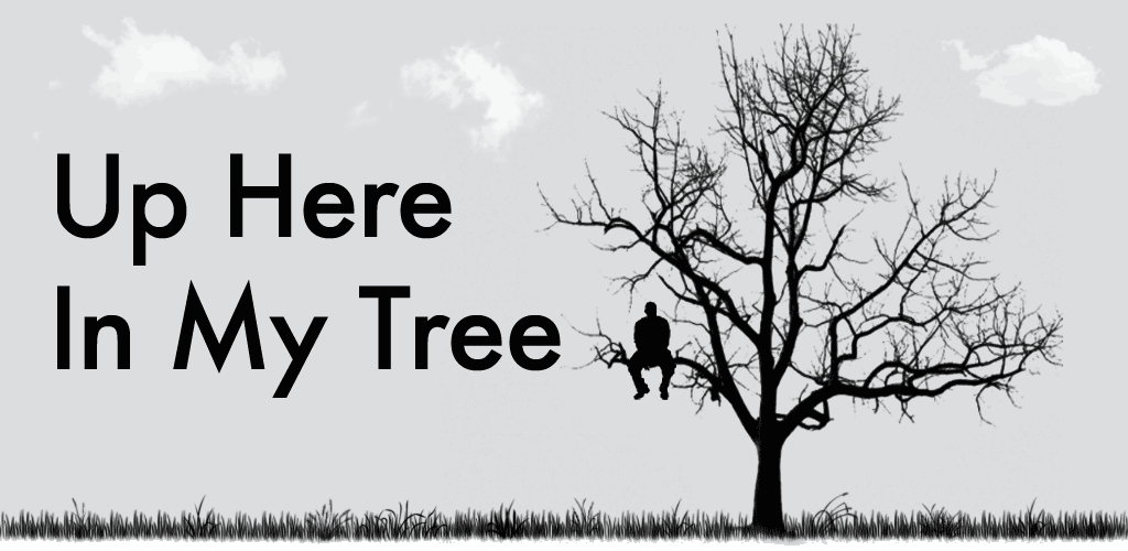 Up Here In My Tree: A Pearl Jam Blog