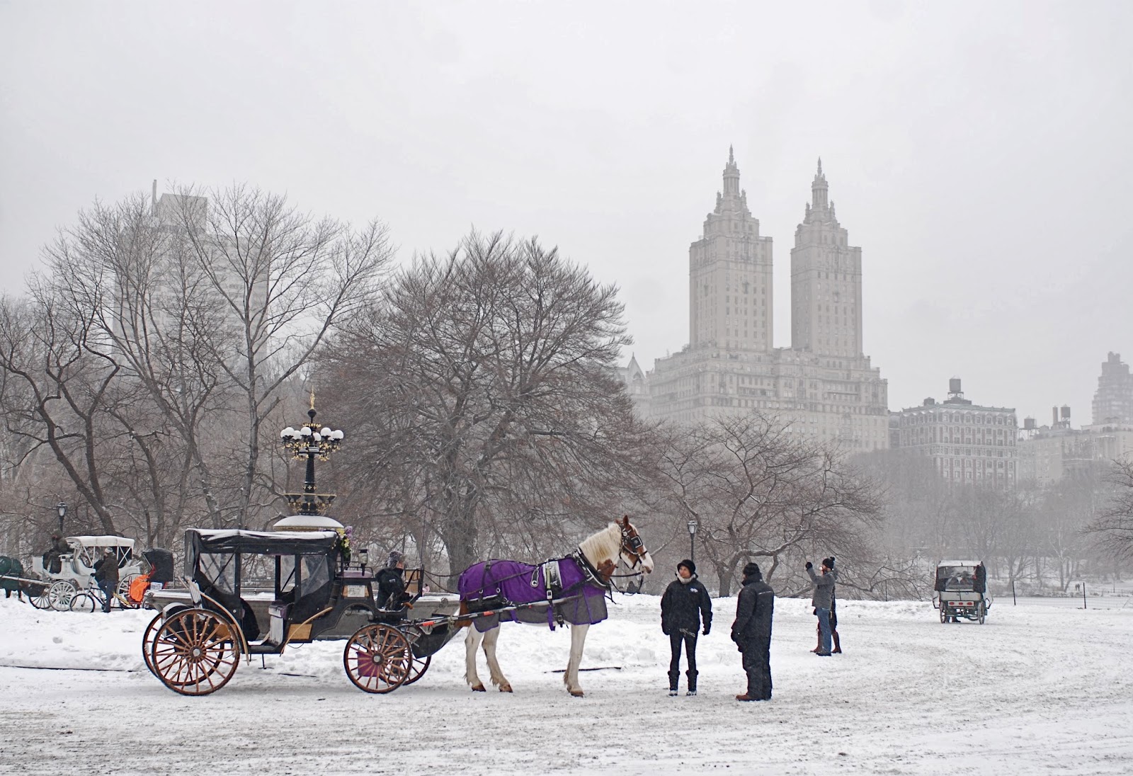 NYC ??? NYC Iconic HorseDrawn Carriage Rides in Central Park