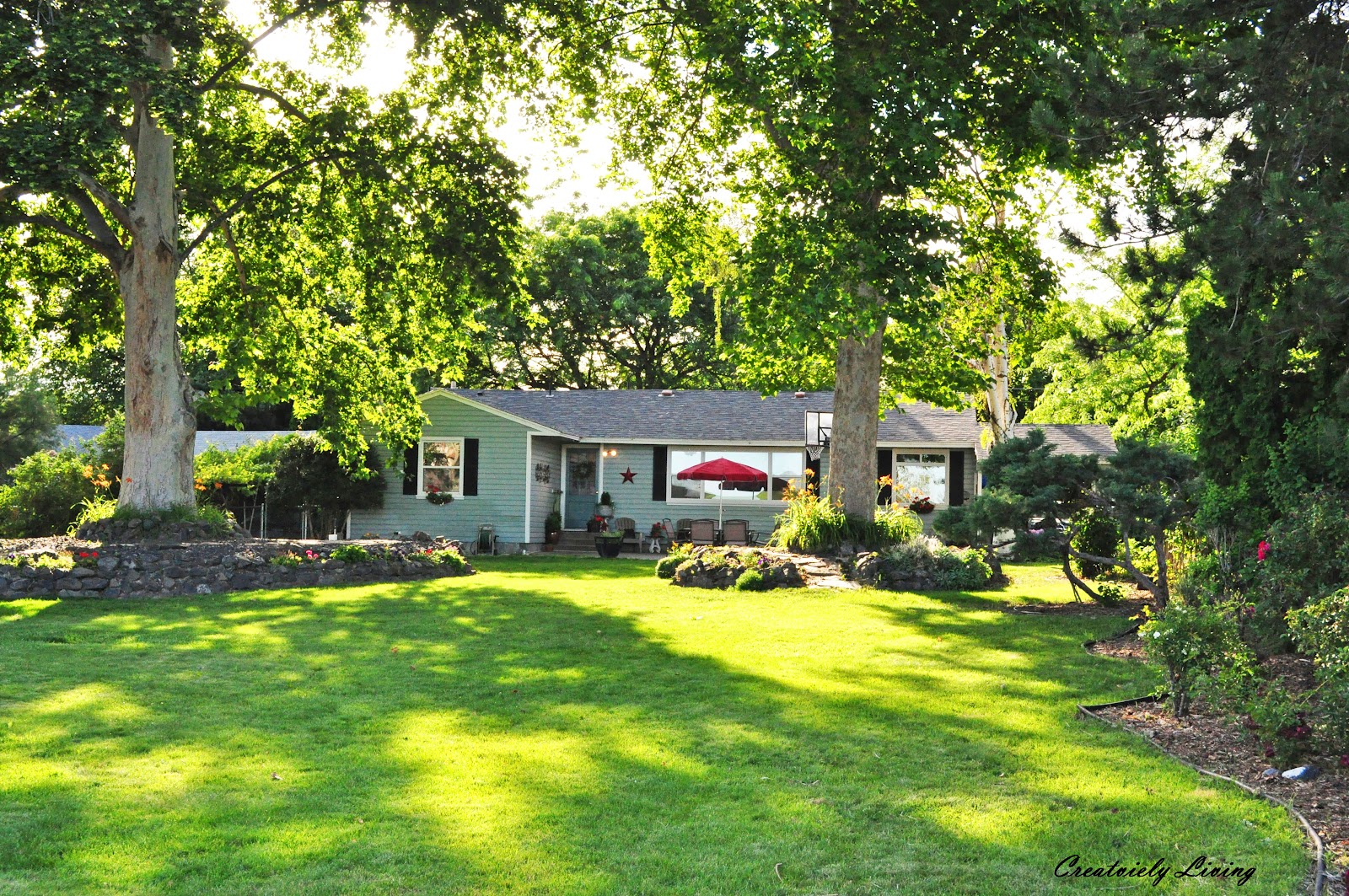 Garden or yard? WordReference Forums