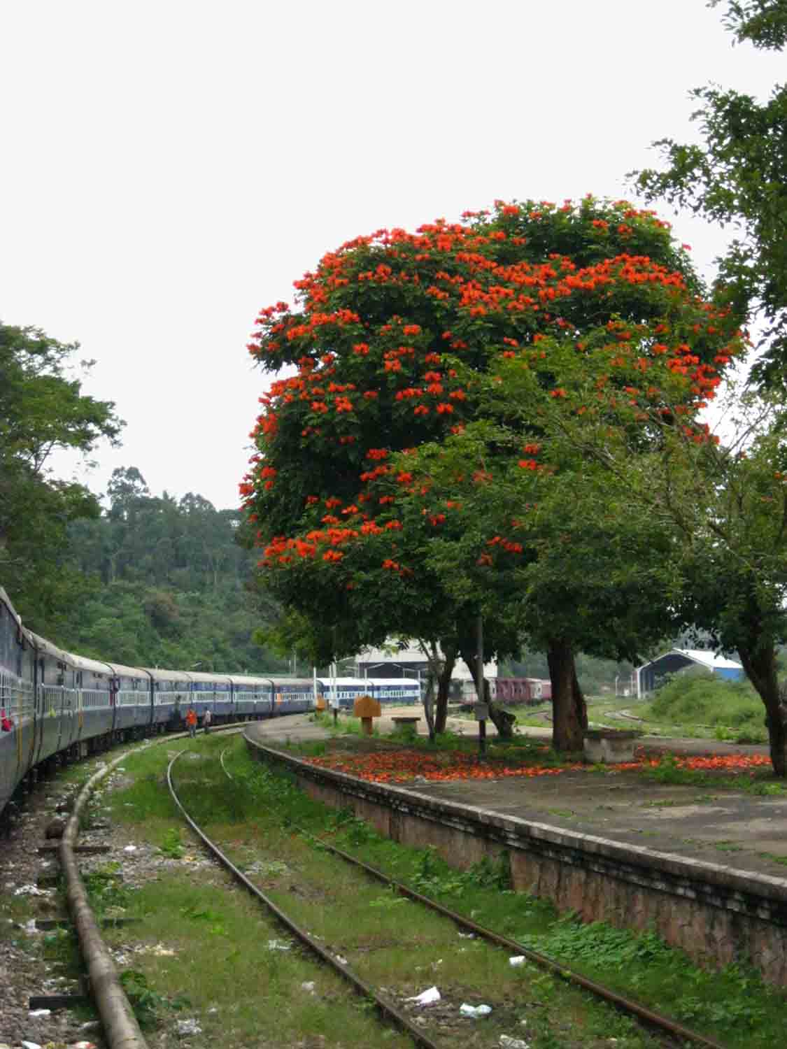 Deepa Bhasthi I Hear the Train Blow its Horn
