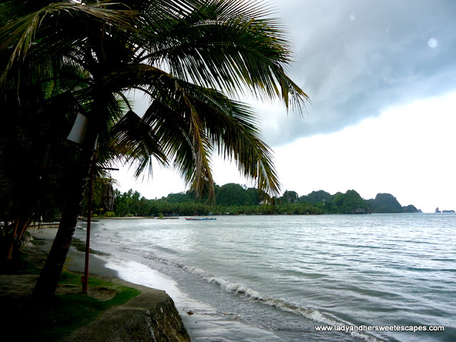 palm_tree with view from the sea at Caluwayan