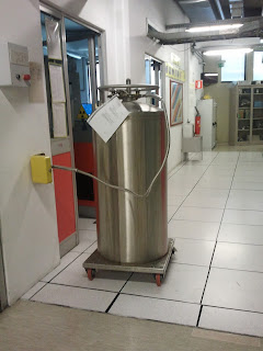 Il dewar per azoto liquido, oggetto del nostro photo quiz