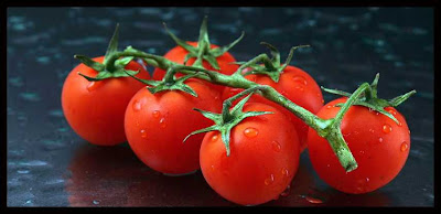 fresh an healthy tomatoes