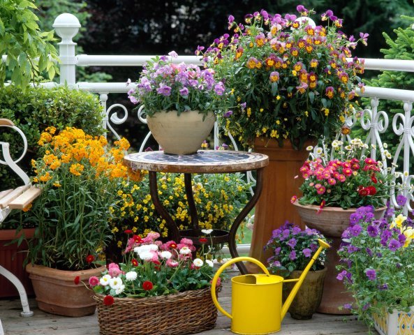 Small Garden Patio Designs Small Garden Patio Designs