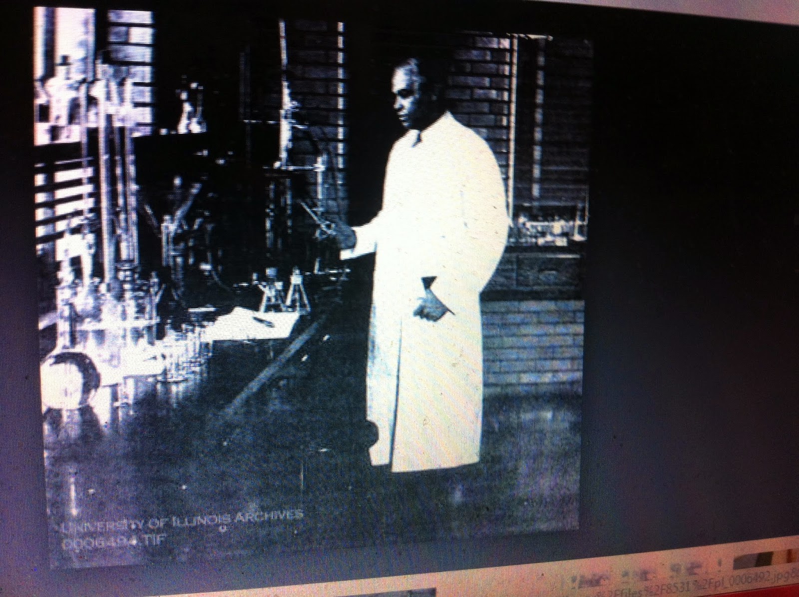 THE BLACK SOCIAL HISTORY BLACK SOCIAL HISTORY AFRICAN AMERICAN " ST