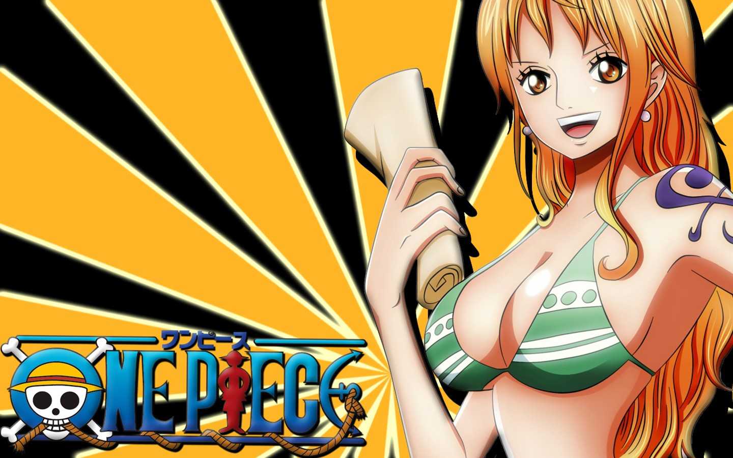 Introducing To The World Of One Piece    Hall Of Flames