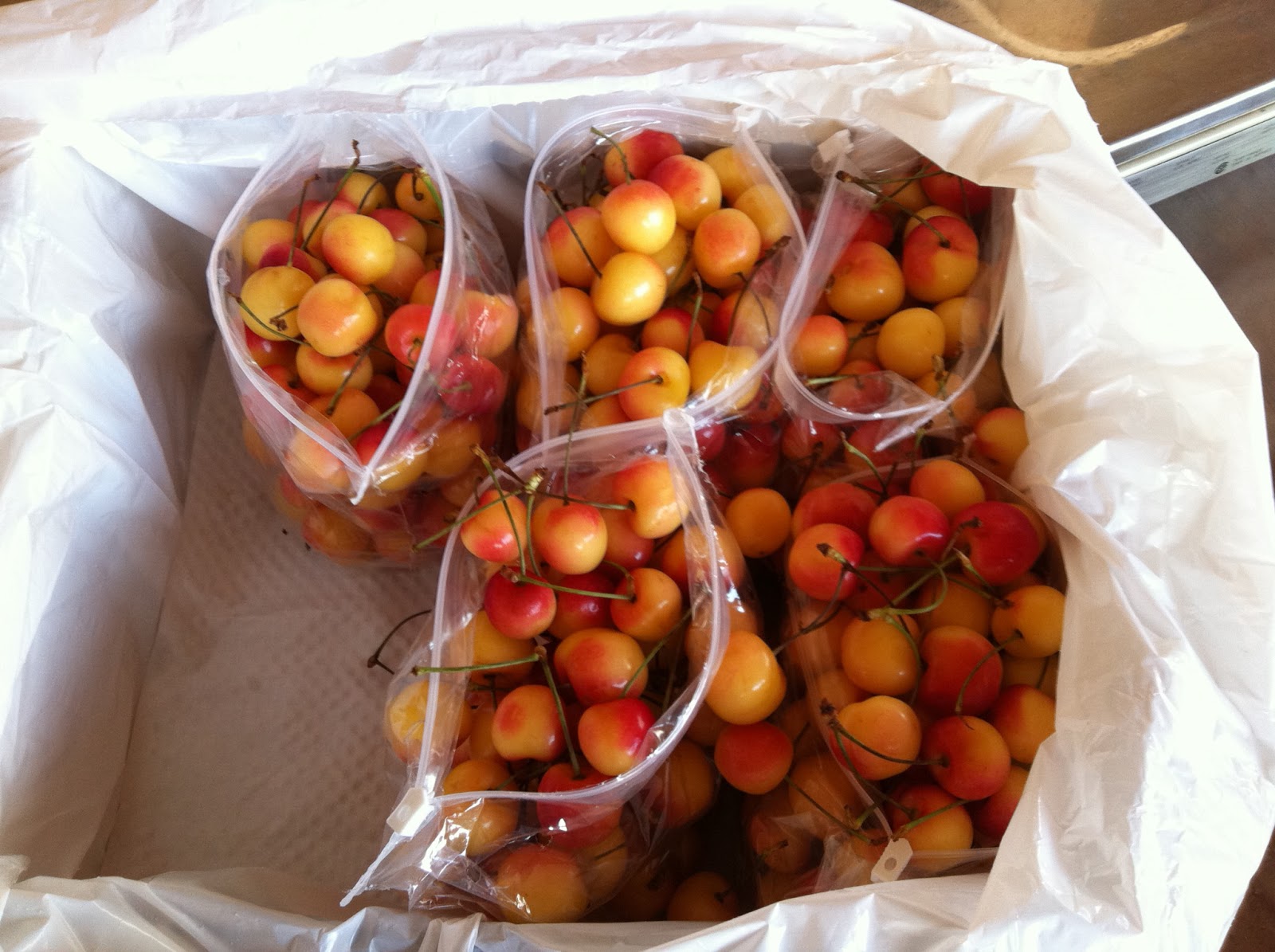 Produce Clerk The Produce Clerks Handbook by RICK CHONG