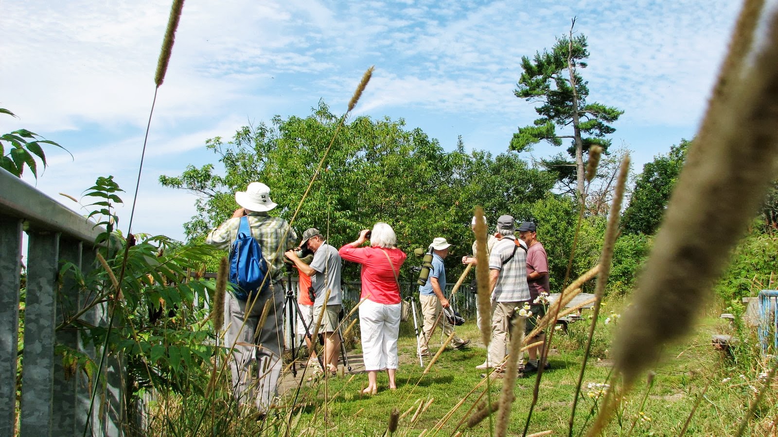 rencontres seniors pays de loire