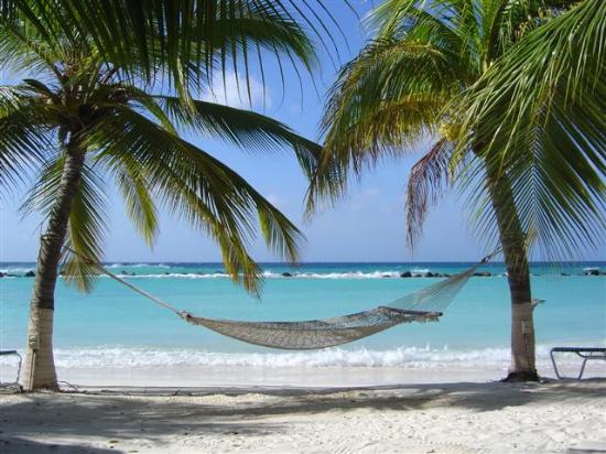 hammock-on-the-beach.jpg