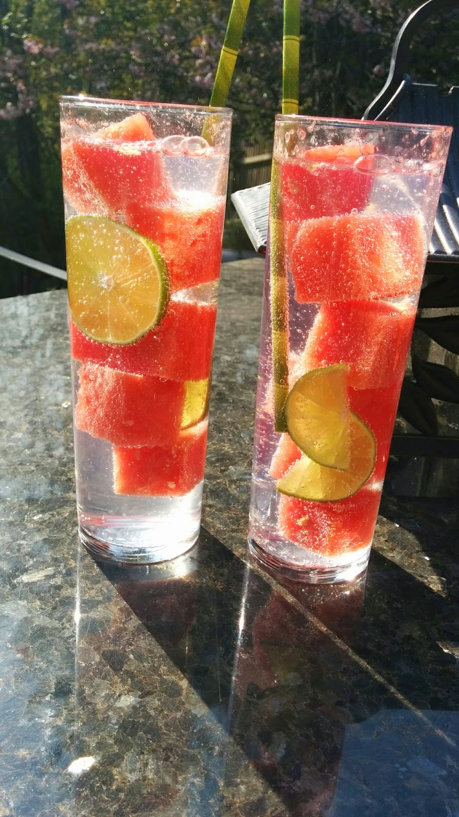 Got it, Cook it Watermelon Vodka (or Gin) Tonic