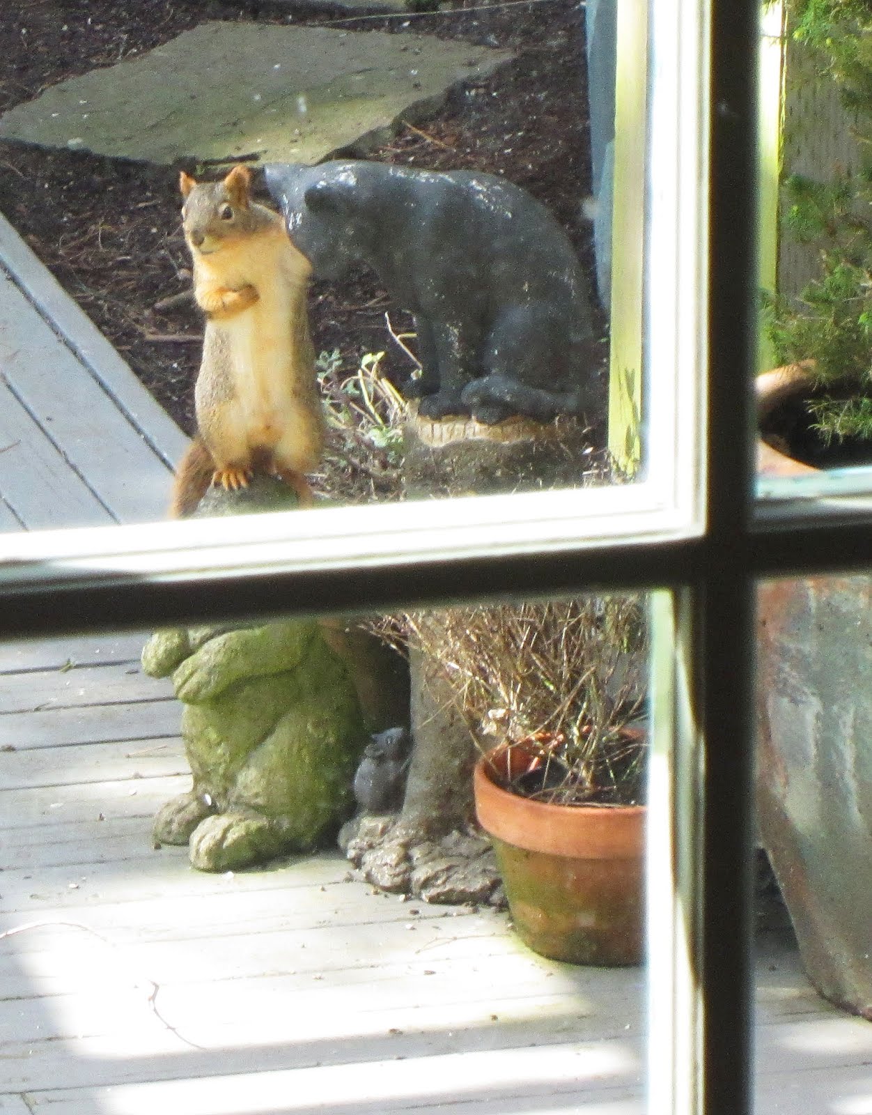 Cat and Squirrel | Lighthearted Press