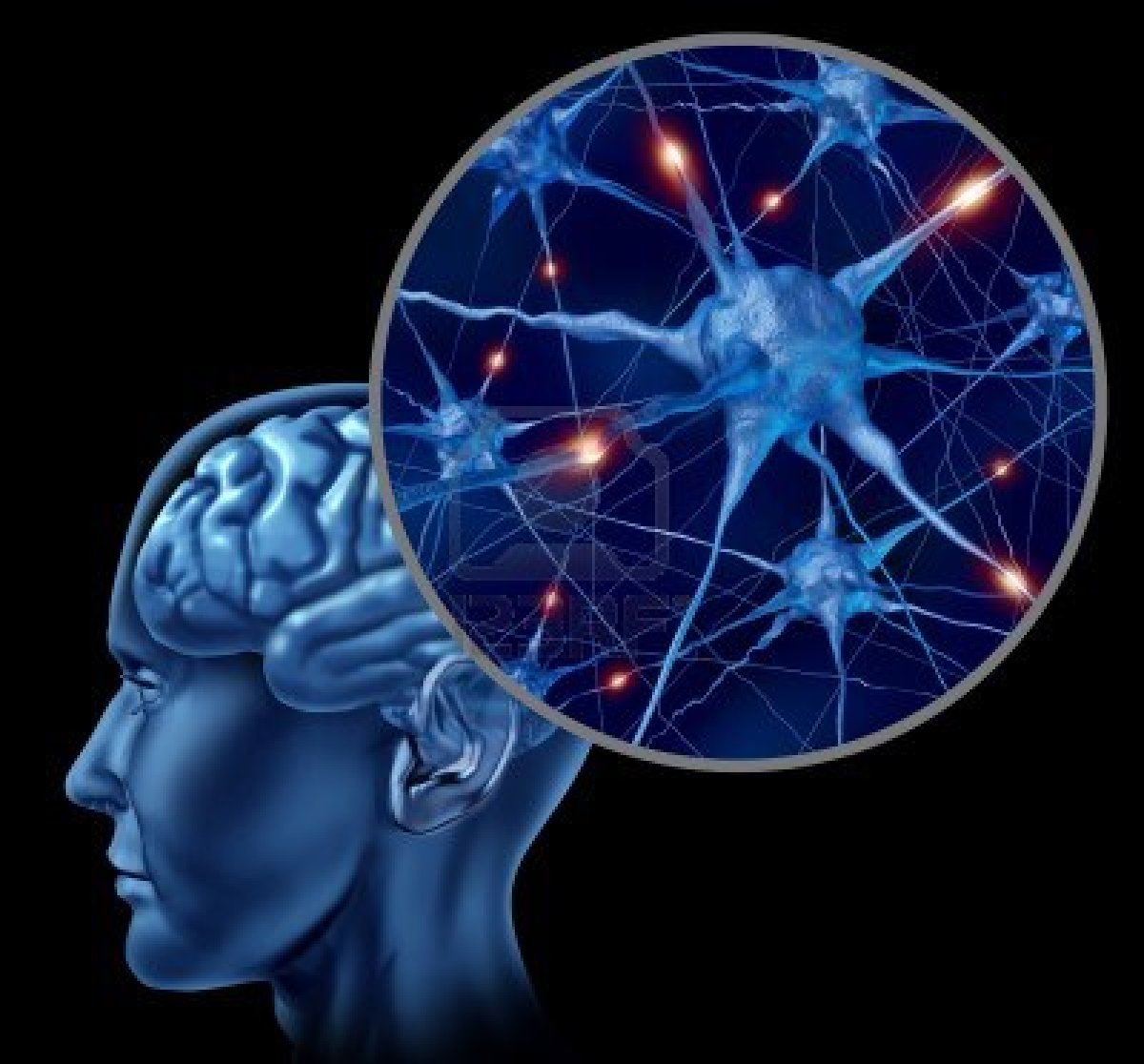 Iq memory booster pill picture 3