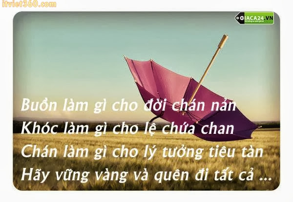 Những câu nói hay về tình yêu tan vỡ