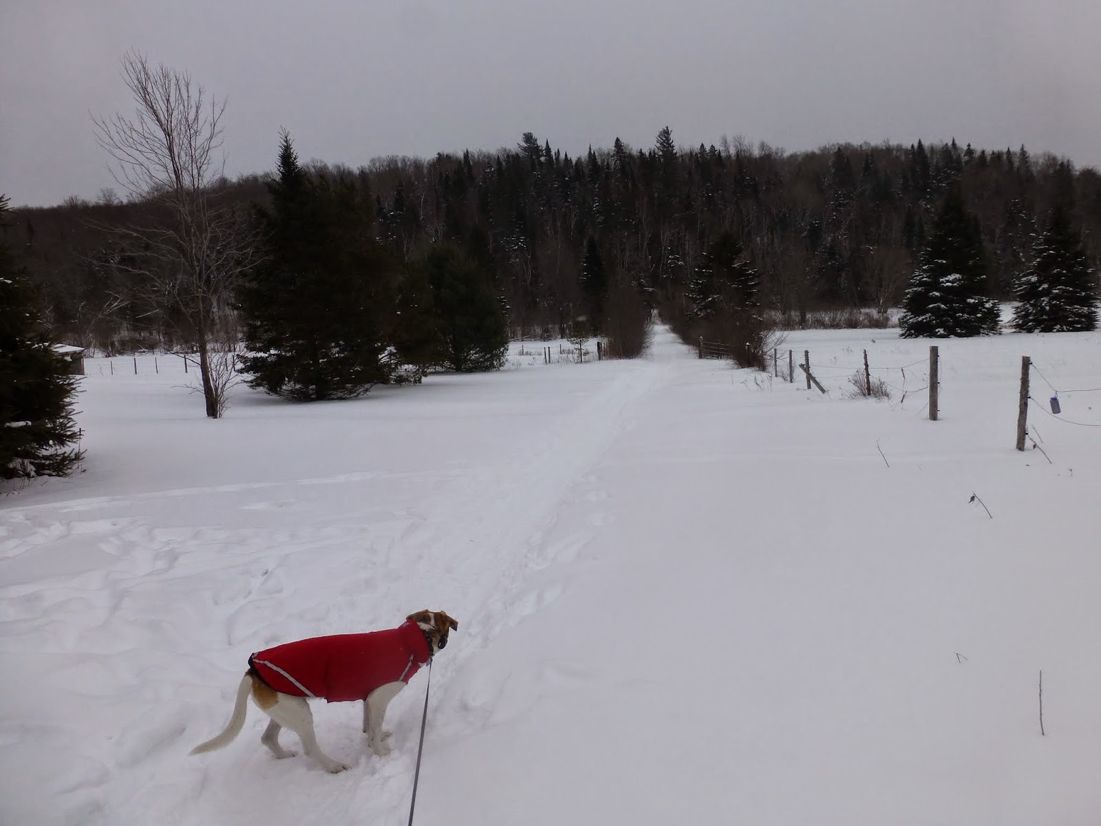 Off on Adventure XC Ski Moose Pond McKenzie Mountain Wilderness