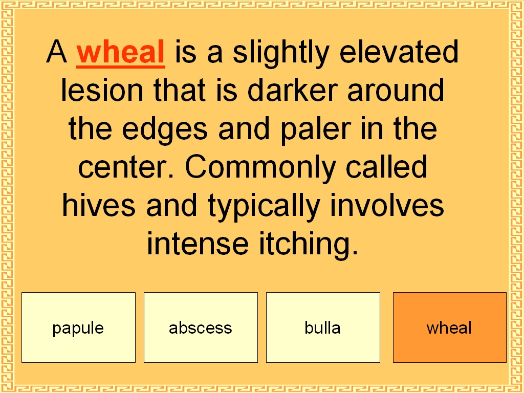 Student Survive 2 Thrive Free Medical Terminology Practice Test Skin