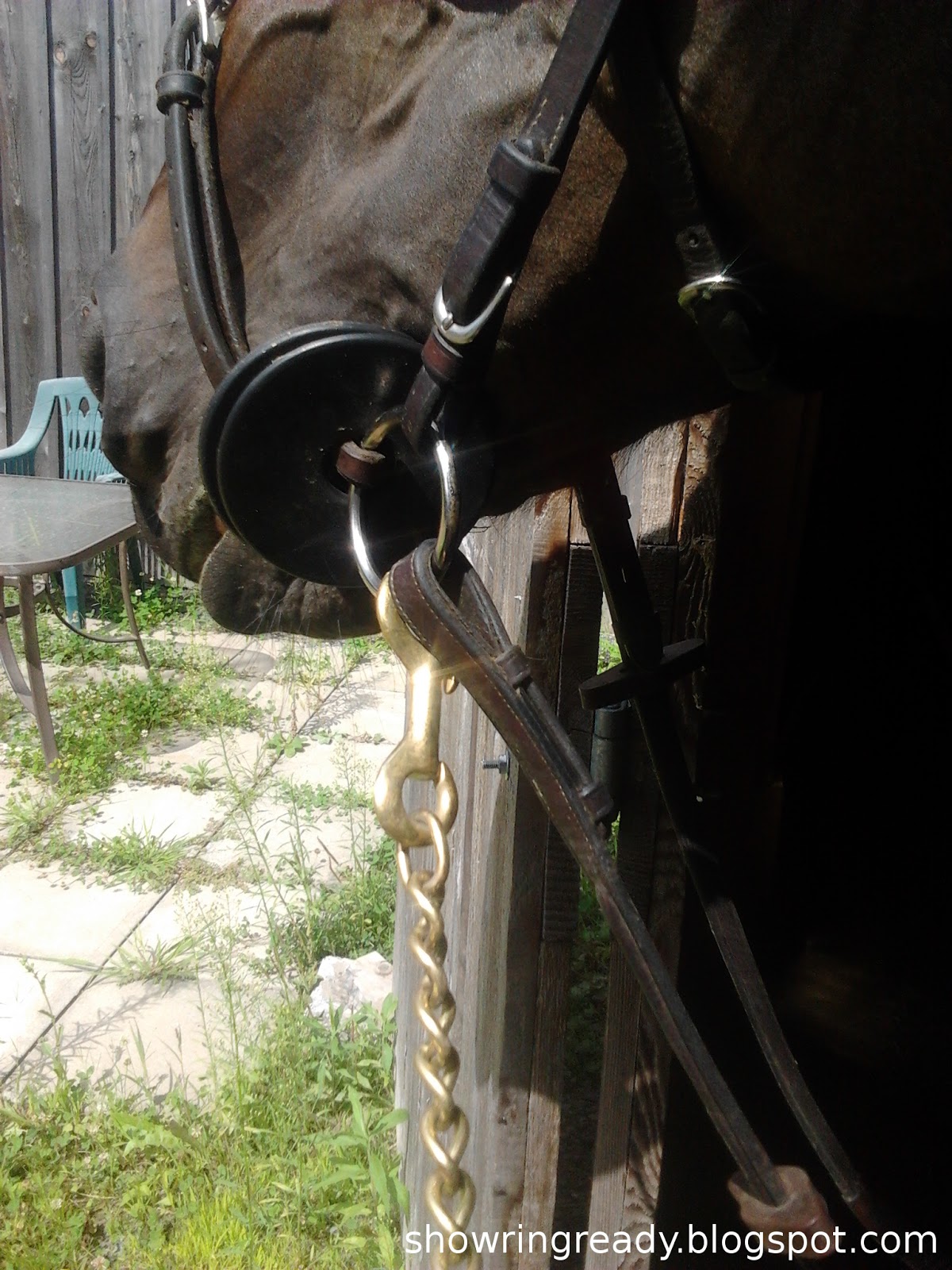 Show Ring Ready How to Attach a Lead Shank to the Bit