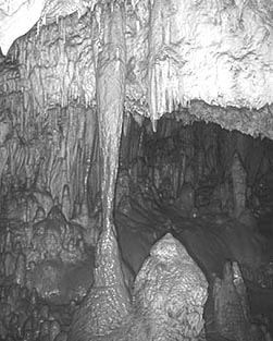 Stalaktit dan Stalagmit salah satu jenis speleothem gua yang terbentuk akibat pelarutan batu kapur oleh tenaga air
