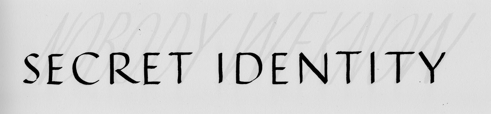 The identity of america czolgosz inadvertent gift essay 08 image