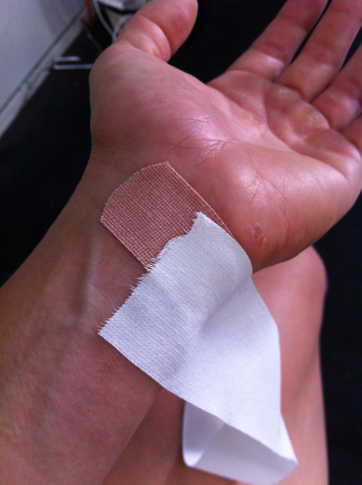 Jes' CrossFit Blog BlisterFree PullUps